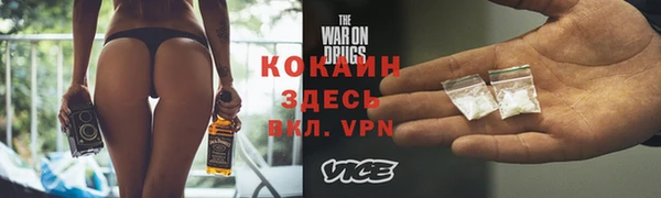 шишки Горняк