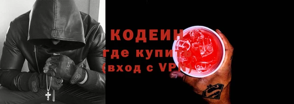 шишки Горняк