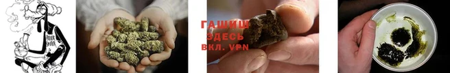 шишки Горняк
