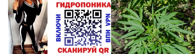 Шишки марихуана VHQ  Купить закладки  Вельск 